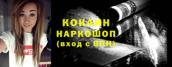 стаф Алзамай