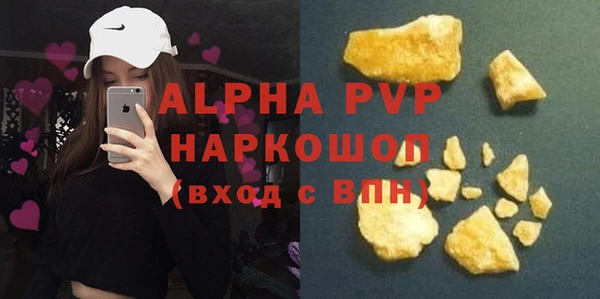 стаф Алзамай