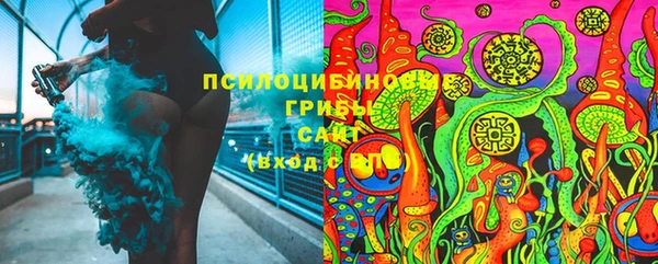 тгк Алексин