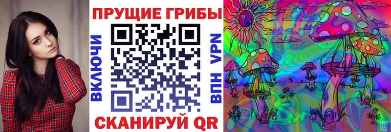 Галлюциногенные грибы мицелий  Гдов 